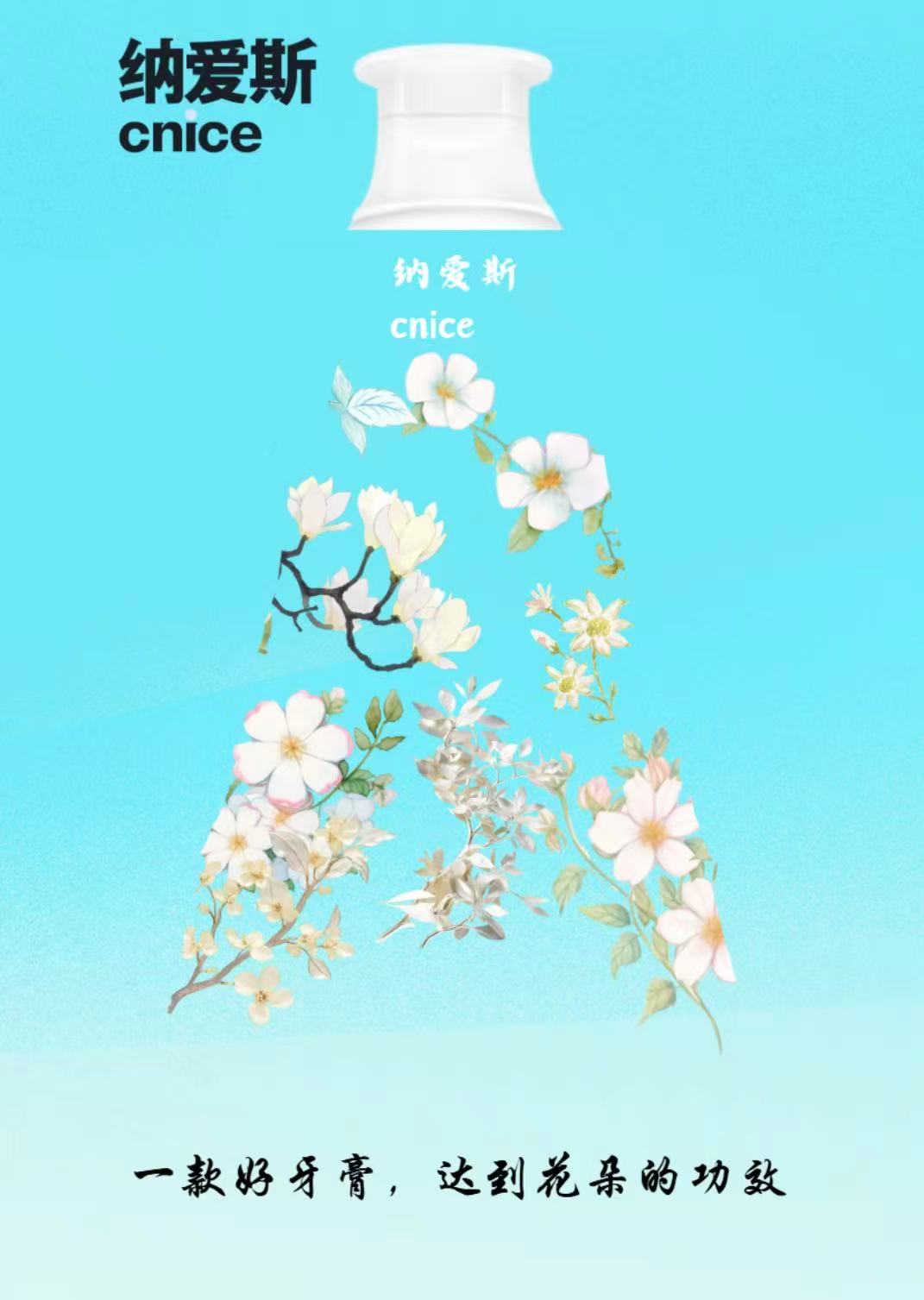 纳爱斯2